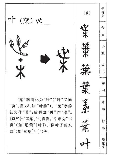 11畫之漢字|11画的字